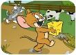 Tom và Jerry vượt mê cung
